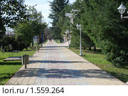 Пешеходная дорожка в парке.Адлер.Сочи. (2010 год). Стоковое фото, фотограф Мовчан Ольга / Фотобанк Лори