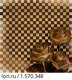 Фон для дизайна с букетом роз. Стоковая иллюстрация, иллюстратор Gatteriya / Фотобанк Лори