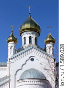 Станица Тацинская - храм Рождества Пресвятой Богородицы (2010 год). Стоковое фото, фотограф Александр Тихонов / Фотобанк Лори