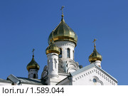 Станица Тацинская - храм Рождества Пресвятой Богородицы (2010 год). Стоковое фото, фотограф Александр Тихонов / Фотобанк Лори