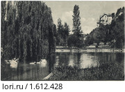 Дореволюционная открытка. Гагры. Пруд в парке. Стоковое фото, фотограф Staryh Luiba / Фотобанк Лори