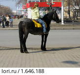 Девушка на лошади на перекрестке в городе (2010 год). Редакционное фото, фотограф Татьяна Злобина / Фотобанк Лори