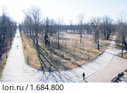 Подкапризовая дорога. Город Пушкин (2010 год). Стоковое фото, фотограф Александр Щепин / Фотобанк Лори