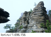 Гора Ай-Петри и сосны на склонах (2009 год). Стоковое фото, фотограф Юрий Брыкайло / Фотобанк Лори