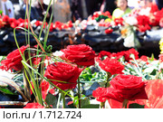 Розы у вечного огня. Челябинск. Стоковое фото, фотограф Андрей Соловьев / Фотобанк Лори