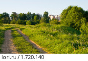 Проселочная дорога, ведущая в город. Стоковое фото, фотограф Светлана Силецкая / Фотобанк Лори