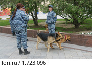 Минутка отдыха (Кинологи с собаками перед репетицией парада Победы) (2010 год). Редакционное фото, фотограф Валерия Попова / Фотобанк Лори