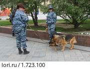 Минутка отдыха (Кинологи с собаками перед репетицией парада Победы) (2010 год). Редакционное фото, фотограф Валерия Попова / Фотобанк Лори