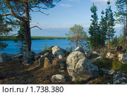 Северный вечерний пейзаж с валунами и соснами. Стоковое фото, фотограф Дмитрий Минин / Фотобанк Лори