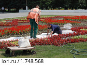 Рабочие по озеленению благоустраивают клумбу в парке (2010 год). Редакционное фото, фотограф Alechandro / Фотобанк Лори