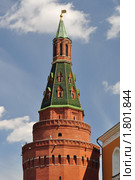 Угловая Арсенальная башня. Стоковое фото, фотограф Panitchkina Natalia / Фотобанк Лори