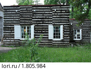 Березовый домик. Гатчина (2010 год). Редакционное фото, фотограф Корчагина Полина / Фотобанк Лори
