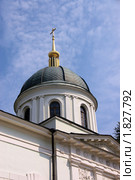 Купол храма Святителя Николая в Котельниках (2010 год). Стоковое фото, фотограф Илюхина Наталья / Фотобанк Лори