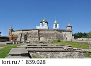 Псковский детинец. Вид со стороны Довмонтова города (2010 год). Редакционное фото, фотограф Виктор Карасев / Фотобанк Лори