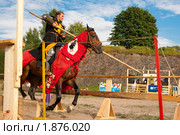Выборгский рыцарский турнир (2010 год). Редакционное фото, фотограф Алексей Ширманов / Фотобанк Лори