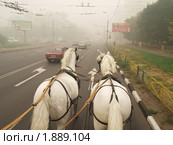 Рысцой по правой полосе (2010 год). Стоковое фото, фотограф Ярославский Максим / Фотобанк Лори