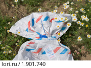 Пакет экспресс авиапочты (2010 год). Редакционное фото, фотограф Александр Щепин / Фотобанк Лори