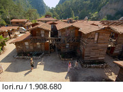 Отель на деревьях. Олимпос, Турция (2010 год). Редакционное фото, фотограф Некрасов Андрей / Фотобанк Лори