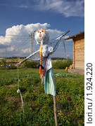 Пугало огородное (2010 год). Редакционное фото, фотограф Яна Королёва / Фотобанк Лори