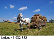 Лошадь с телегой, груженной тюками сена. Стоковое фото, фотограф Швадчак Василий / Фотобанк Лори