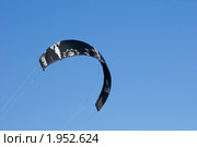 Кайт в голубом небе (2010 год). Редакционное фото, фотограф Александр Щепин / Фотобанк Лори