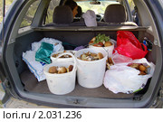 Полный багажник грибов (2010 год). Редакционное фото, фотограф Елена Ильина / Фотобанк Лори
