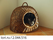 Котик, спящий в своем домике. Стоковое фото, фотограф Елена Галачьянц / Фотобанк Лори
