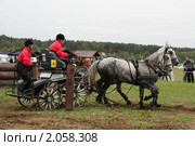 Чемпионат России по драйвингу 2010 в КСК "Свечинский". Экипаж С. Спектра (Россия) проходит препятствие. Редакционное фото, фотограф Устинова Мария / Фотобанк Лори