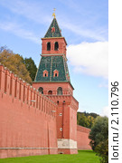 Благовещенская башня Московского Кремля (2010 год). Стоковое фото, фотограф Алёшина Оксана / Фотобанк Лори
