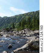 Каменная плотина "Шумы", горный Алтай (2010 год). Стоковое фото, фотограф Александр Огурцов / Фотобанк Лори