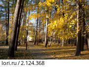 Осень в городском парке. Стоковое фото, фотограф Виктор Зандер / Фотобанк Лори
