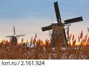 Зимний пейзаж в Киндердайк (Нидерланды) (2009 год). Стоковое фото, фотограф Анастасия Золотницкая / Фотобанк Лори