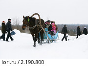 Лошадь, запряжённая в сани. Масленица. Белорусский государственный музей народной архитектуры и быта, п. Озерцо, Беларусь (2010 год). Редакционное фото, фотограф Марина Шатерова / Фотобанк Лори
