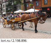 Лошадь ест корм на улице в Закопане (2010 год). Редакционное фото, фотограф Ирина Борсученко / Фотобанк Лори