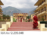 Индия, Дарамсала. Буддийский тантрический монастырь Гьюто (Gyuto Tantric Monastery) (2005 год). Редакционное фото, фотограф Галина Михалишина / Фотобанк Лори