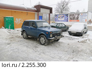 ВАЗ-2121 "Нива" (2010 год). Редакционное фото, фотограф Алёшина Оксана / Фотобанк Лори