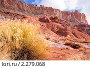 Национальный парк Капитол Риф (англ.Capitol Reef National Park) Стоковое фото, фотограф Ирина Кожемякина / Фотобанк Лори