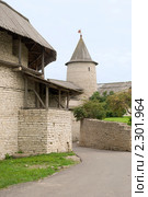 Псковский кремль. Захаб (2010 год). Редакционное фото, фотограф Александр Щепин / Фотобанк Лори