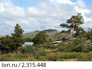 Национальный парк Баянаул летом. Казахстан (2010 год). Стоковое фото, фотограф Вера Тропынина / Фотобанк Лори