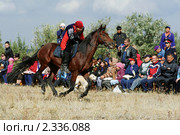 Наездник на скачет на коне. Реконструкция Анракайского сражения (2010 год). Редакционное фото, фотограф Вера Тропынина / Фотобанк Лори