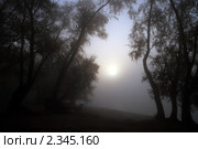 Осеннее утро на Иртыше. Стоковое фото, фотограф Круглов Олег / Фотобанк Лори