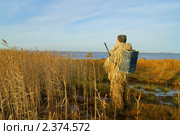 Охотник в засаде. Стоковое фото, фотограф макаров виктор / Фотобанк Лори