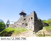 Невицкий замок, Украина (2010 год). Стоковое фото, фотограф Юрий Брыкайло / Фотобанк Лори