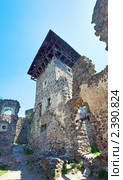 Невицкий замок, Украина (2010 год). Стоковое фото, фотограф Юрий Брыкайло / Фотобанк Лори