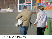 В Московском зоопарке. Зоологи переносят стерха (белого журавля) (2011 год). Редакционное фото, фотограф Валерия Попова / Фотобанк Лори