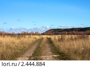 Проселочная дорога. Стоковое фото, фотограф Константин Безденежных / Фотобанк Лори