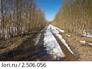 Весна. Стоковое фото, фотограф Сергей Лаврентьев / Фотобанк Лори