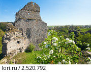 Сидоров замок, Украина (2010 год). Стоковое фото, фотограф Юрий Брыкайло / Фотобанк Лори