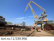 Портальный кран на территории СЛИП (2011 год). Редакционное фото, фотограф Юлия Машкова / Фотобанк Лори