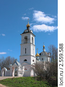 Подмосковье. Село Язвище. Церковь Троицы Живоначальной (2011 год). Стоковое фото, фотограф Сергей Соболев / Фотобанк Лори